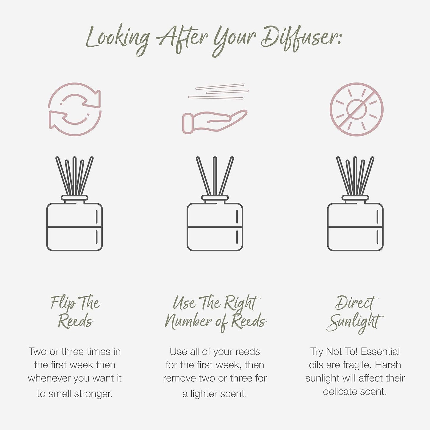 Reed Diffuser - Mandarin & Grapefruit Scent | Essential Oil Aroma for Home | 100 Ml