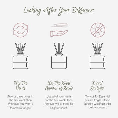 Reed Diffuser - Mandarin & Grapefruit Scent | Essential Oil Aroma for Home | 100 Ml